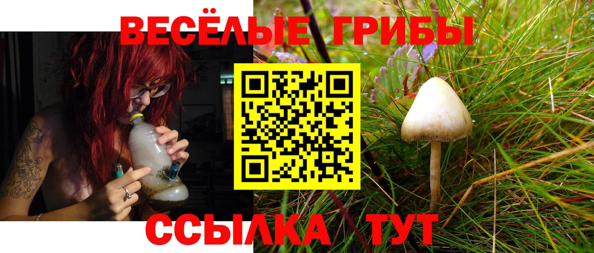 Псилоцибиновые грибы мухоморы Ейск