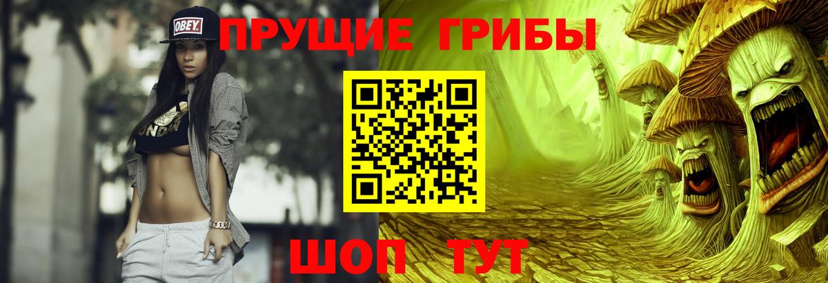 Псилоцибиновые грибы Psilocybine cubensis  Галлюциногенные грибы Cubensis  Ейск  Вход с VPN 